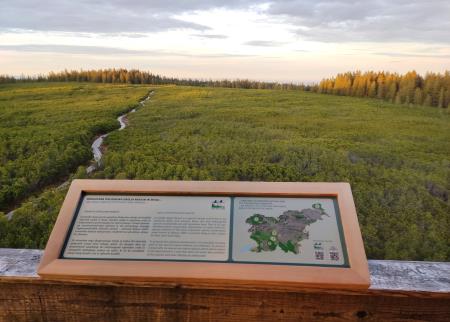 foto - Lovrenska barja - animacija (18)